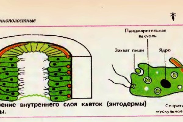 Onion сайт кракен