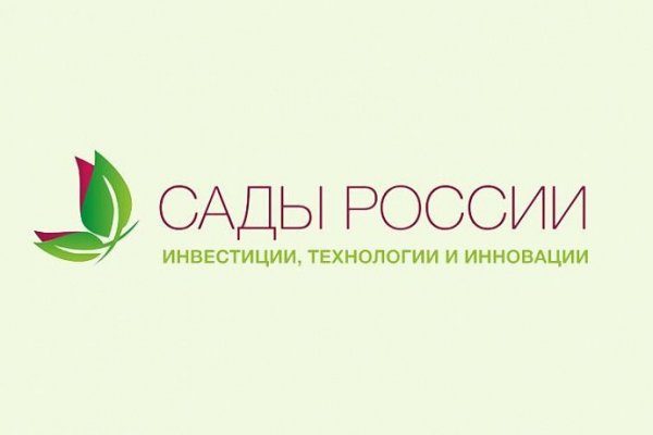 Kraken ссылка onion 2kmp