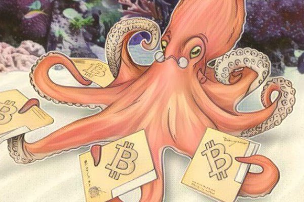 Kraken at17