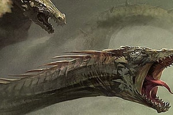Kraken 17at